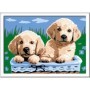 Pictura Pe Numere - Catelusi Ravensburger - 1